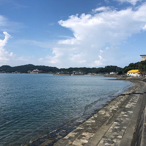 🏞️ 미야즈 해변 공원 (미야즈카이유코엔) 이미지 4